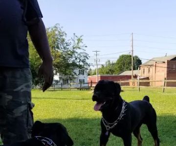 Selinsgrove Dog Park