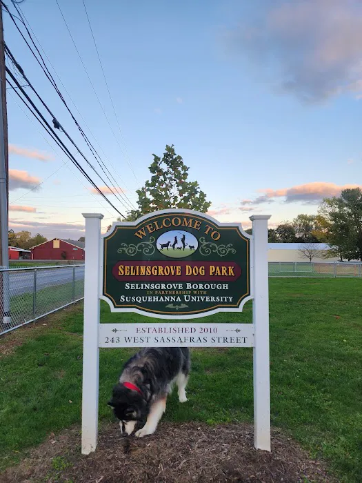 Selinsgrove Dog Park 9