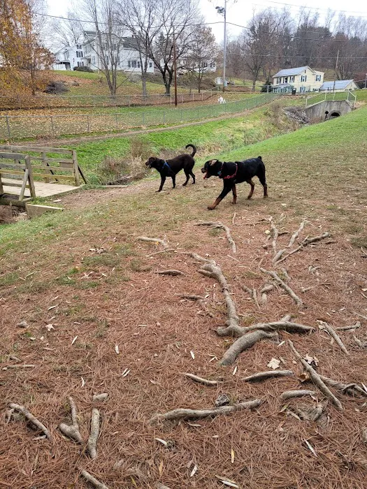 Selinsgrove Dog Park 2