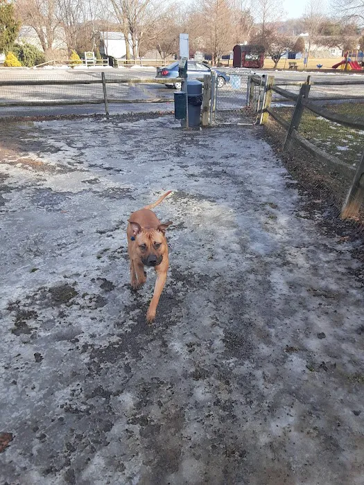 Selinsgrove Dog Park 7