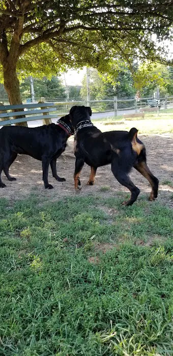 Selinsgrove Dog Park 5