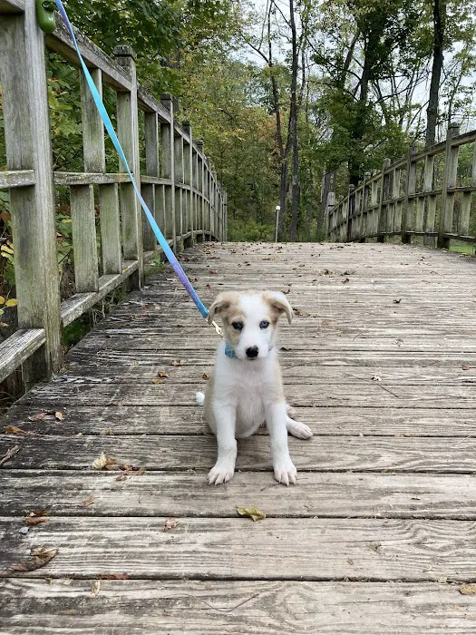 Turtle Creek Park 9