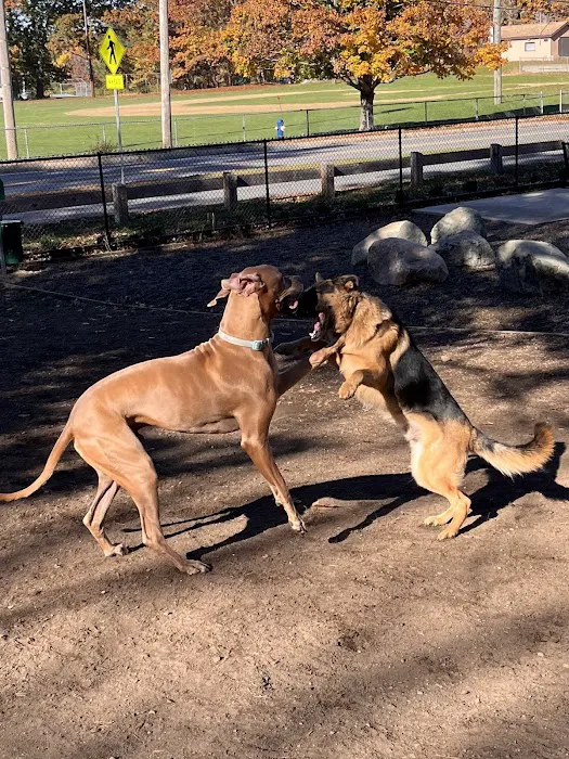 Farm Pond Dog Park 10