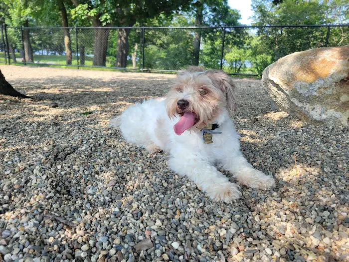 Farm Pond Dog Park 6