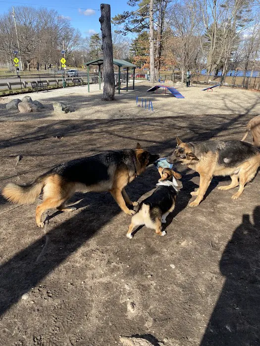 Farm Pond Dog Park 3