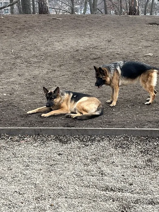 Farm Pond Dog Park 9