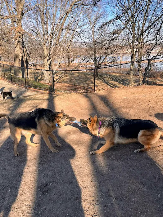 Farm Pond Dog Park 5