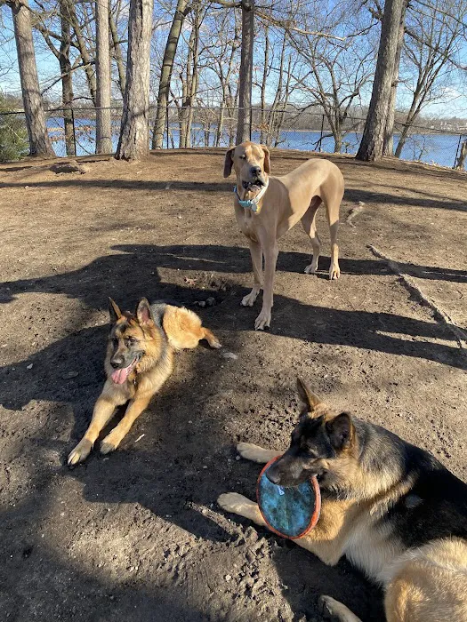 Farm Pond Dog Park 7
