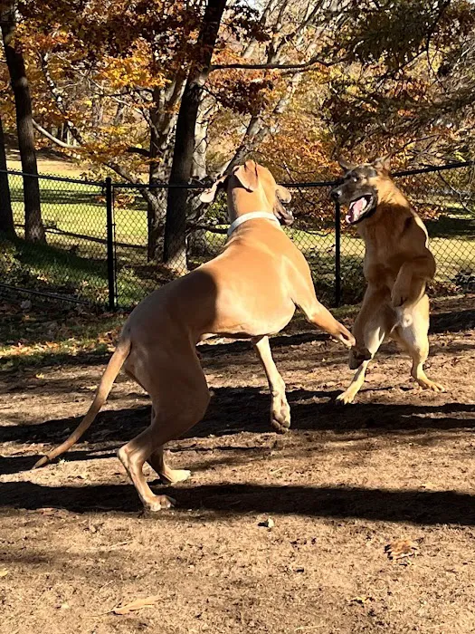 Farm Pond Dog Park 8