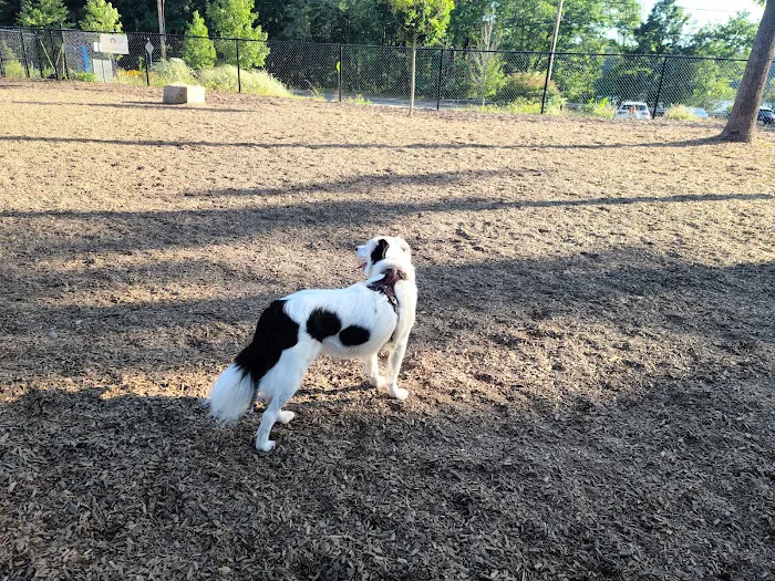 Eddie's Park at Middlesex Path 10