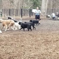 Eddie's Park at Middlesex Path ico
