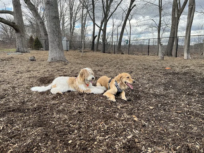 FIDO Dog Park 10