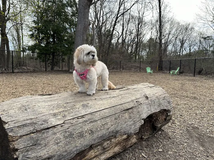 FIDO Dog Park 9