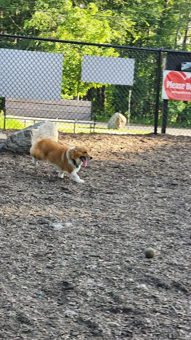 FIDO Dog Park 3