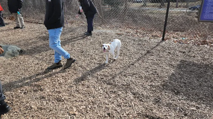 FIDO Dog Park 1