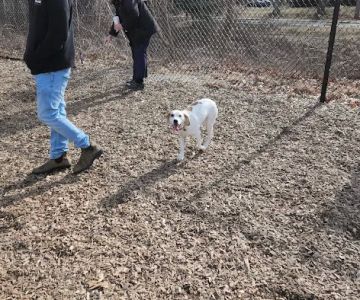 FIDO Dog Park