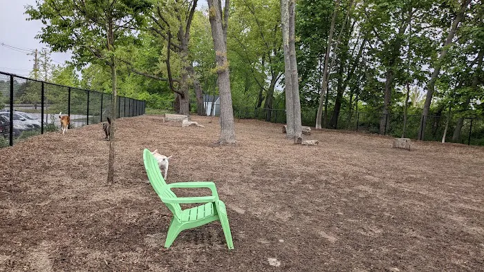 FIDO Dog Park 2