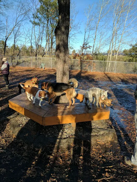 Maynard Dog Park 5
