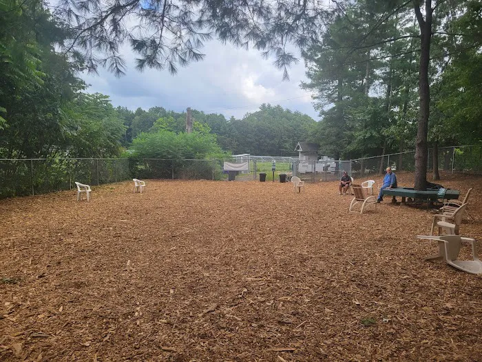 Maynard Dog Park 4