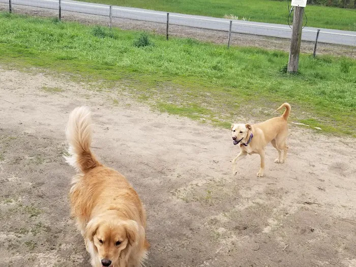 Wrentham Dog Park 2