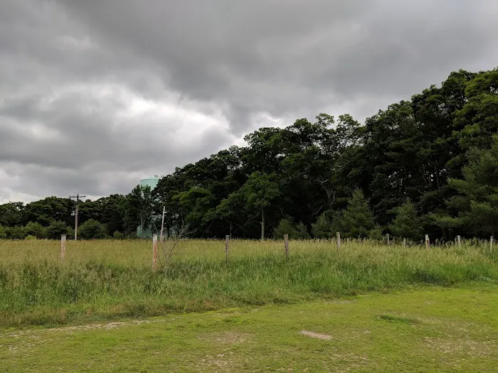Wrentham Dog Park 7