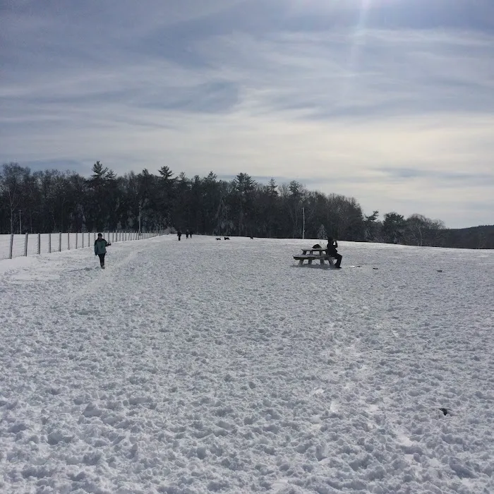 Wrentham Dog Park 8