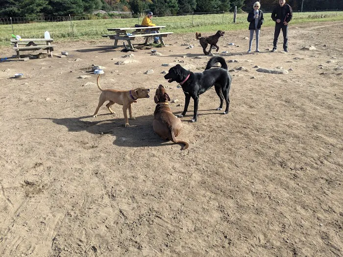 Wrentham Dog Park 1