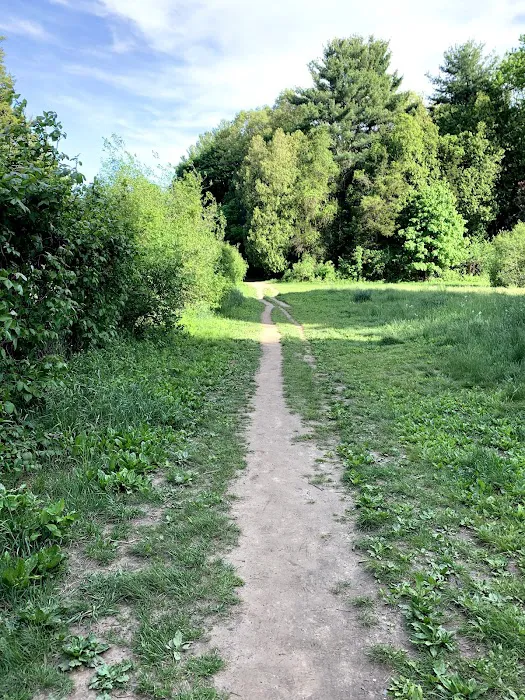 Reservoir Walking Trail / Weston 1