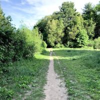 Reservoir Walking Trail / Weston ico