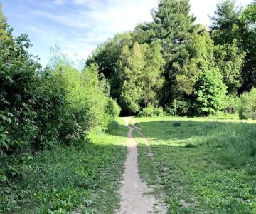 Reservoir Walking Trail / Weston