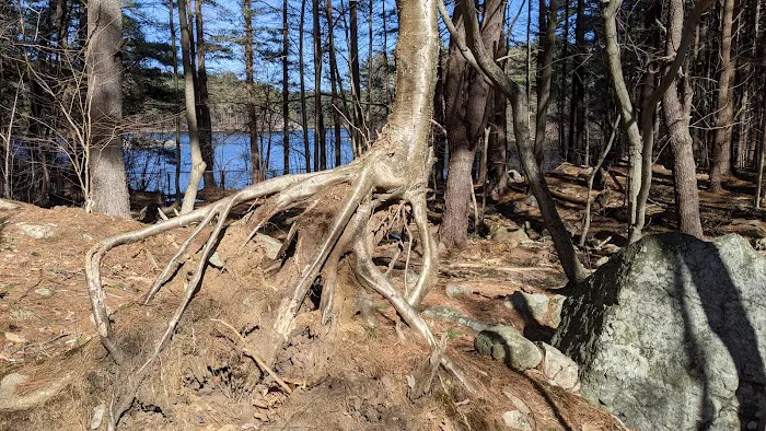 Reservoir Walking Trail / Weston 5