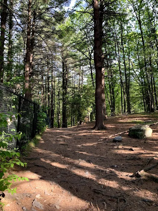 Reservoir Walking Trail / Weston 7