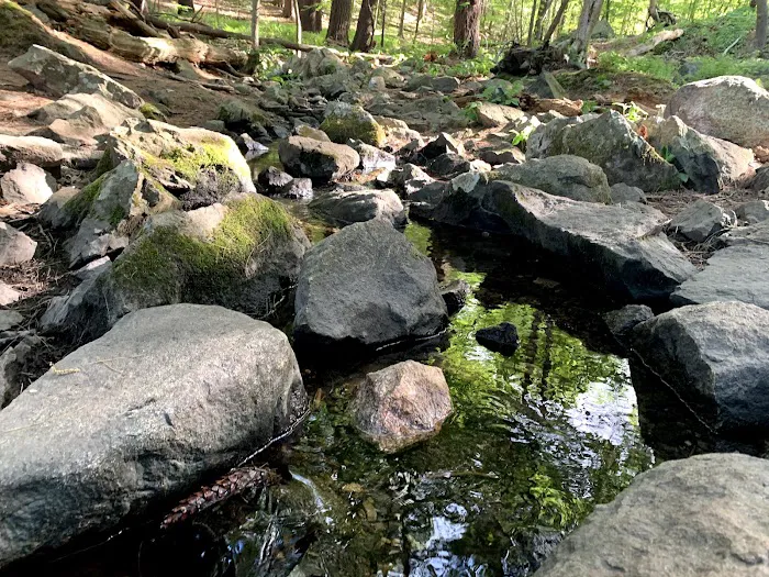 Reservoir Walking Trail / Weston 4