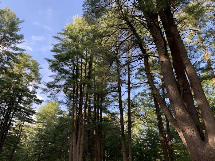 Reservoir Walking Trail / Weston 2