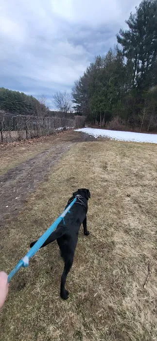 Reservoir Walking Trail / Weston 6