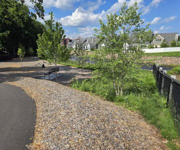 Canton Dog Park (small dogs)