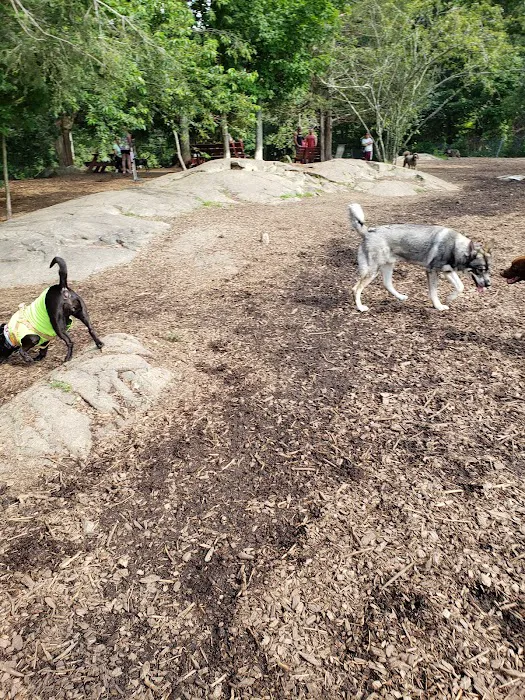 Dedham Dog Park 2