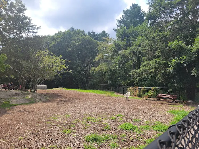 Dedham Dog Park 9