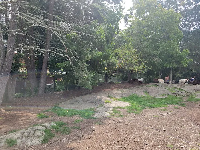 Dedham Dog Park 8