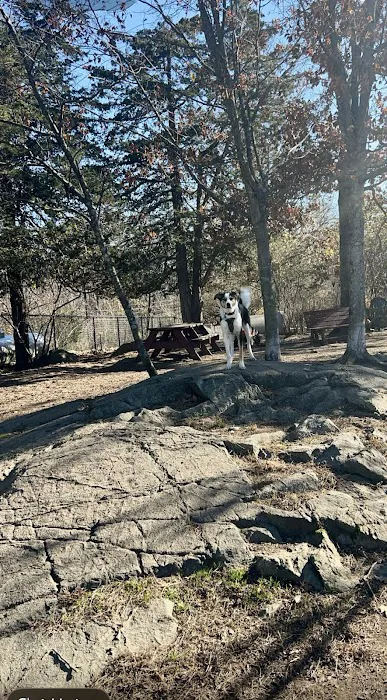 Dedham Dog Park 7
