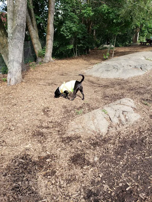 Dedham Dog Park 10