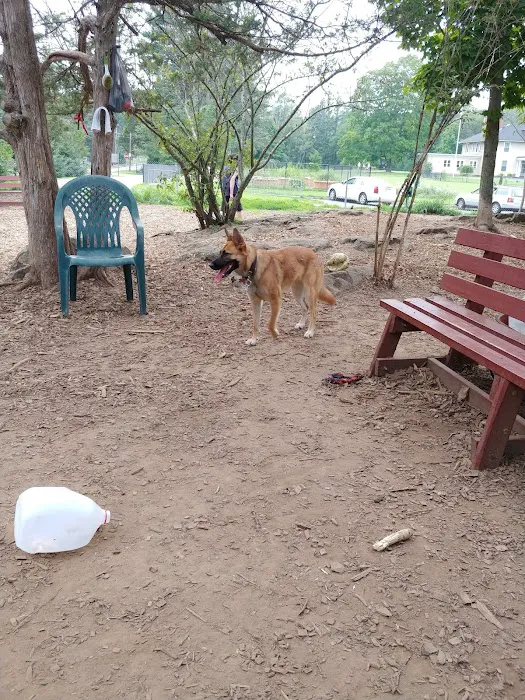 Dedham Dog Park 4
