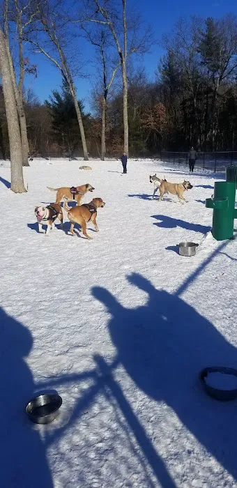 Ayer Dog Park 8