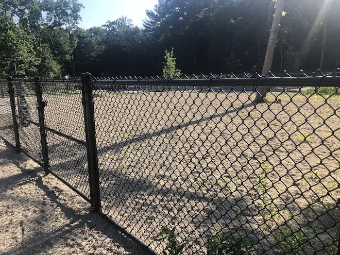 Ayer Dog Park 5