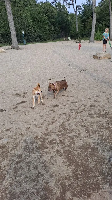 Ayer Dog Park 7