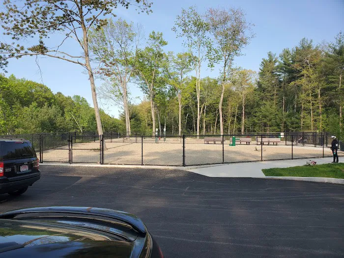 Ayer Dog Park 9