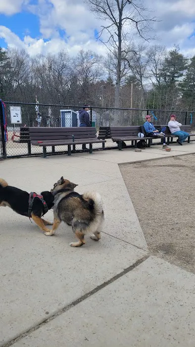 Ayer Dog Park 4