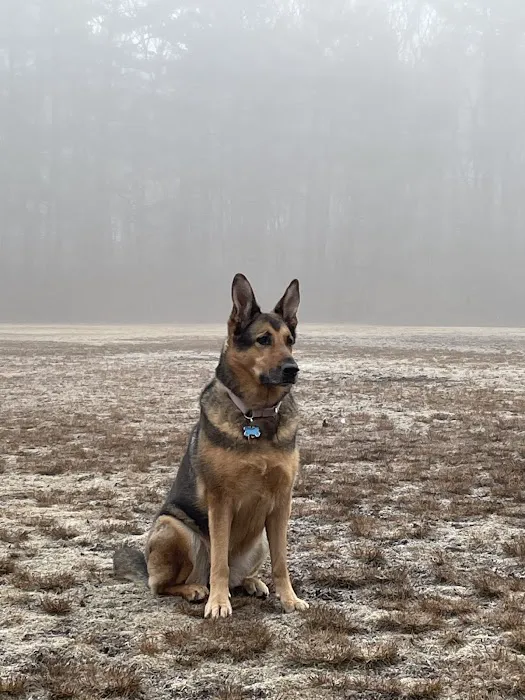 Cold Spring Dog Park - Parking 4
