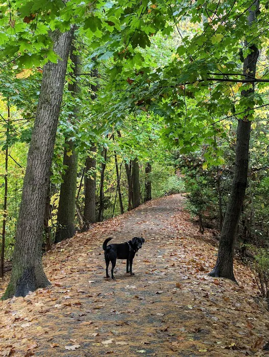 Cold Spring Dog Park - Parking 9