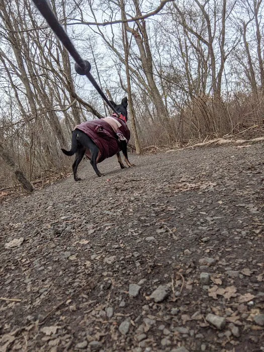 Cold Spring Dog Park - Parking 5